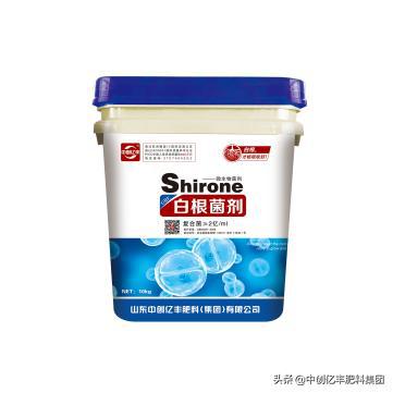 根系根系根系,別再說我沒提醒你